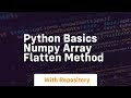 Python basics numpy array flatten method