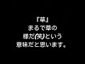 最近の若者が使う言葉。