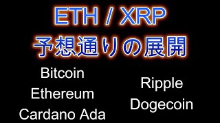 ビットコイン急落後の展開。リップルが重要な局面に。暗号資産（仮想通貨）【BTC、ETH、ADA、DOGE、XRP】