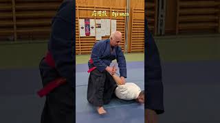 Uchikobagaeshi \u0026 Gyakukobagaeshi #慈眼流 #jigenryū #兵法 #hyōhō #柔術 #jūjutsu #jujutsu #jujitsu #武道 #budō