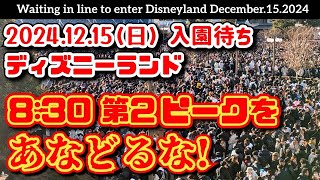 【速報❗】2024.12.15(日)ディズニーランド 入園待ち【注意❗】第2ピーク こんなに伸びる待機列❗【夢の国の住人】開園待ち