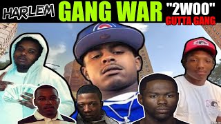 Harlem Gang War - The 2woo/2MF (Gutta Gang) OYG'z - Drew Hamilton Projects - 8th Block PT 1