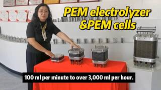 PEM electrolyzer workshop