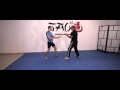 SELF DEFENCE LESSON (basic lesson) 5