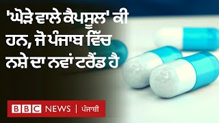 Signature Capsules: Punjab ’ਚ ਨਸ਼ੇ ਲਈ ਵਰਤੇ ਜਾਂਦੇ ‘ਘੋੜੇ ਵਾਲੇ ਕੈਪਸੂਲ’ ਕੀ ਹਨ ਜਿਸ ਬਾਰੇ ਡਾਕਟਰਾਂ ਨੇ ਚੇਤਾਇਆ