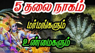 ஐந்து தலை நாகம் உண்மையில் உள்ளதா?/ 5 Thalai nagam marmangal