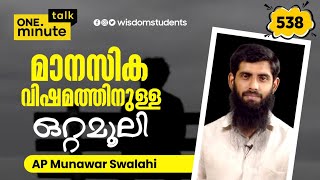 #538 മാനസിക വിഷമത്തിനുള്ള ഒറ്റമൂലി || AP Munawar Swalahi || One Minute Talk