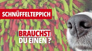 #4 trainingstipp: was kann der schnüffelteppich tatsächlich?