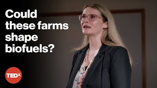 Why ants farm fungus | Kristin Burnum-Johnson | TEDxSteptoe Street