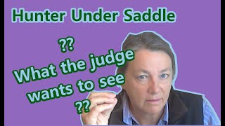 5 Things a Horse Show Judge looks for in a Hunter Under Saddle Class