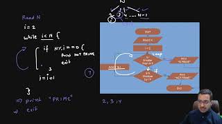 Pseudocode- Prime Number