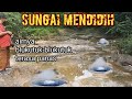 SUNGAI MENDIDIH DI HUTAN NGANJUK FENOMENA UNIK KALI PANAS JARANG DIKETAHUI ORANG