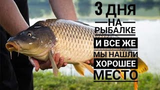 3х ДНЕВНАЯ РЫБАЛКА🎣🎣🎣 на реке Или в непогоду🌦⛈️🌩🌧 САЗАН, СУДАК, СОМ, ВОБЛА, ловились все по маленьку