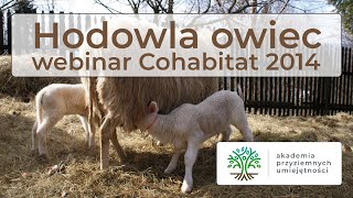 Hodowla owiec i własne sery owcze - samowystarczalne gospodarstwo - fragment webinaru Cohabitat