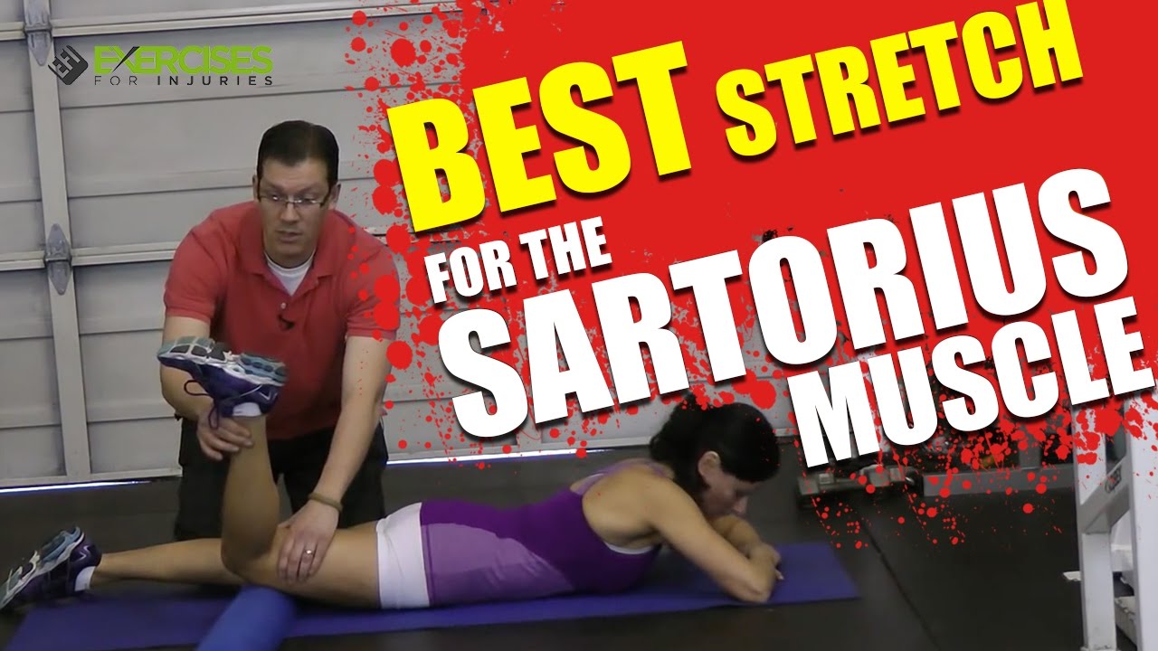 Best Stretch For The Sartorius Muscle - YouTube