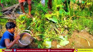 മീൻ പിടുത്തം #fish #hunting #bnkerala