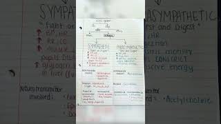 Autonomic nervous system physiology and nervous system