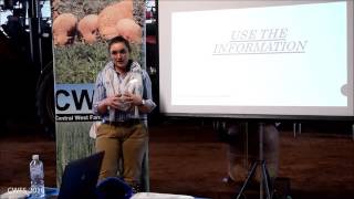 Lexi Cesnik on precision sheep management.