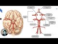 TOPPERS SESSION | CLINICAL SNIPPETS FROM MEDICINE | NEUROANATOMY | DR. ABHISHEK