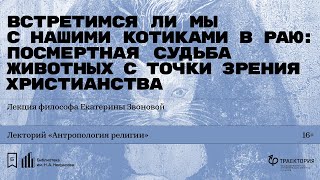 «Встретимся ли мы с нашими котиками в раю». Лекция философа Екатерины Звоновой