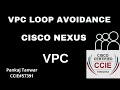 VPC LECTURE 6 (LOOP AVOIDANCE into VPC) CCIE 57391