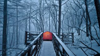 영하 10도 태기산 | 초보 백패커들의 성지에서 나홀로 | 설산백패킹 | 랩 라톡 마운틴  | 본푸스 프라무스 58L