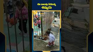 ఈ కాలపు ఏకలవ్య  శిష్యుడు  #funnyshorts #funnyvideo #idendiramaccha