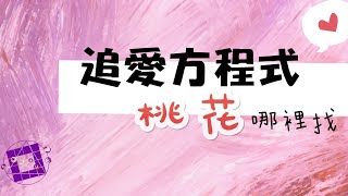 追愛方程式-桃花哪裡來►一學就會紫微斗數◄(請開字幕)