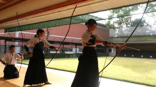 Kyoto Kyudo From The Eyes Of A Tourist Gone Off The Beaten Path