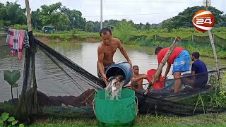 খাগড়াছড়িতে বাড়ছে মৎস্য চাষে আগ্রহ