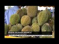 S12 – PROGRAM JUALAN ANAK BERANAK 2.0 – FAMA TERENGGANU ANJUR JUALAN DURIAN, OGOS INI [2 JULAI 2019]