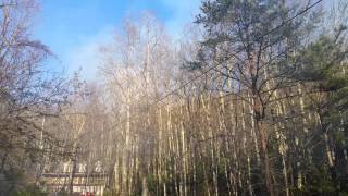 Brush fire Swannanoa 3/29/2016