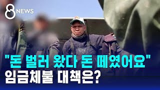 정부가 직접 알선했는데, '임금체불 1,200억'…제도 구멍 있었다 / SBS 8뉴스