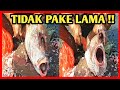 Pasar Ikan Terbesar di Papua Lihat Cara Mengisi Ikan Kakap Merah - Afri Sorong