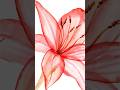 Painting transparent flower -  lily with watercolor. ❤️ Full tutorial is available!⬇️ #watercolor