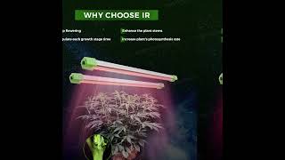 Reasons for choosing Adlite: Introducing you to UV and IR #indoorgardening