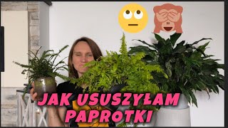 Paprotka tania 🪴nie zawsze łatwa🪴jak je pielęgnować