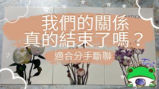 我們的關係真的結束了嗎？適合分手斷聯🔮Paula塔羅🔮