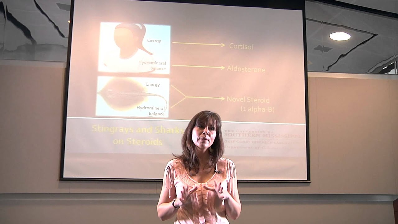 3 Minute Thesis 2014 Youtube