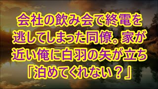 【朗読】会社の飲み会で終電を逃してしまった同僚。家が近い俺に白羽の矢が立ち「泊めてくれない？」仕方なく連れて行くと本性を現し  感動する話 いい話