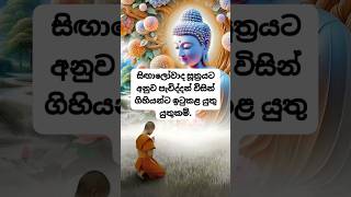 පැවිද්දන් විසින් ගිහියන්ට ඉටුකල යුතු යුතුකම්🙏😌 #බුදුන්වදාලධර්මය #buddha #trending #fypシ゚viral