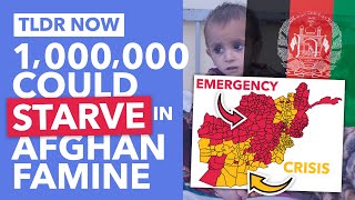 Afghanistan's Famine: How should the West Help? - TLDR News