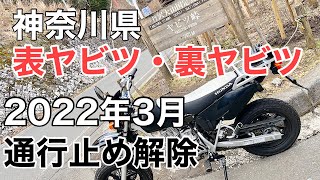 #280「峠」噂の酷道！ヤビツ峠走りやすくなって解除？！2022年4月　#ヤビツ峠　#ツーリング　#xr100 #峠　#険道　#酷道　#神奈川県道70号線