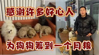 2024-11-29 Xiaoxu's Mountain Life with Dogs 感谢许多好心人一起帮忙筹集的粮食，短短一个月时间一共筹集了6000斤狗粮。