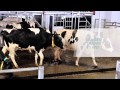 GEA Farm Technologies - MIone Multi-Box Automated Milking System - CANADA