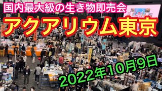 【アクアリウム東京】日本最大級の生き物即売会に行ってきました‼︎【2022年10月9日】