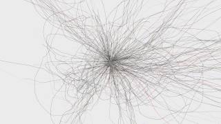 Data Visualization: collection blooms