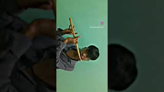 new Bobo sort cover video (flute) Guwahati sariaali