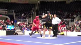 CHAMPIONS of the TORONTO WUSHU WORLD CHAMPIONSHIPS