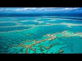 Climate change 'one of the biggest pressures' on Great Barrier Reef: Plibersek